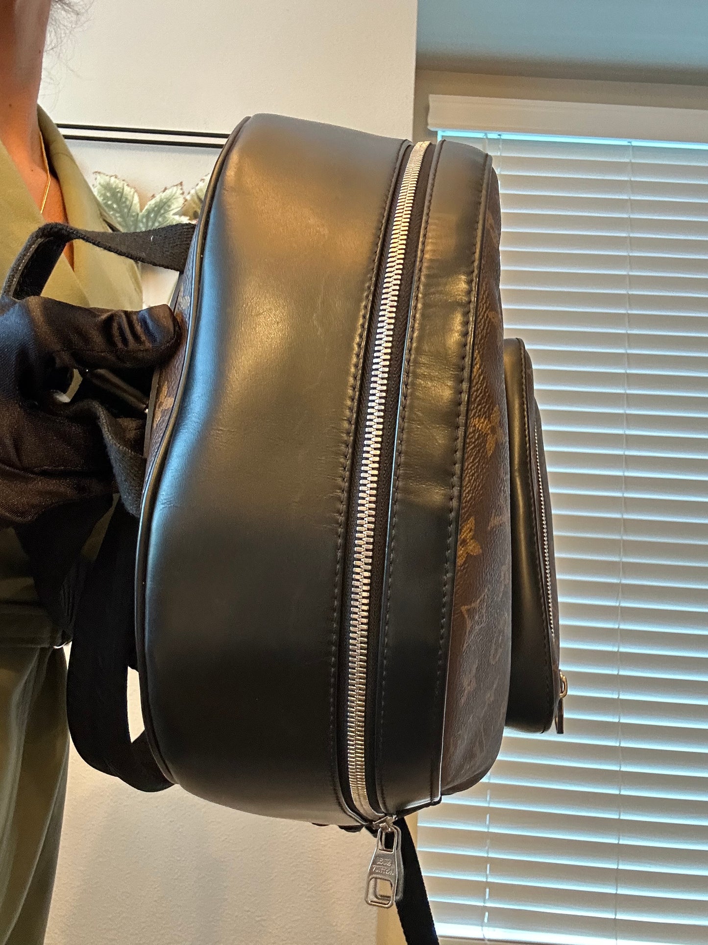 Louis Vuitton Monogram Macassar Josh Backpack